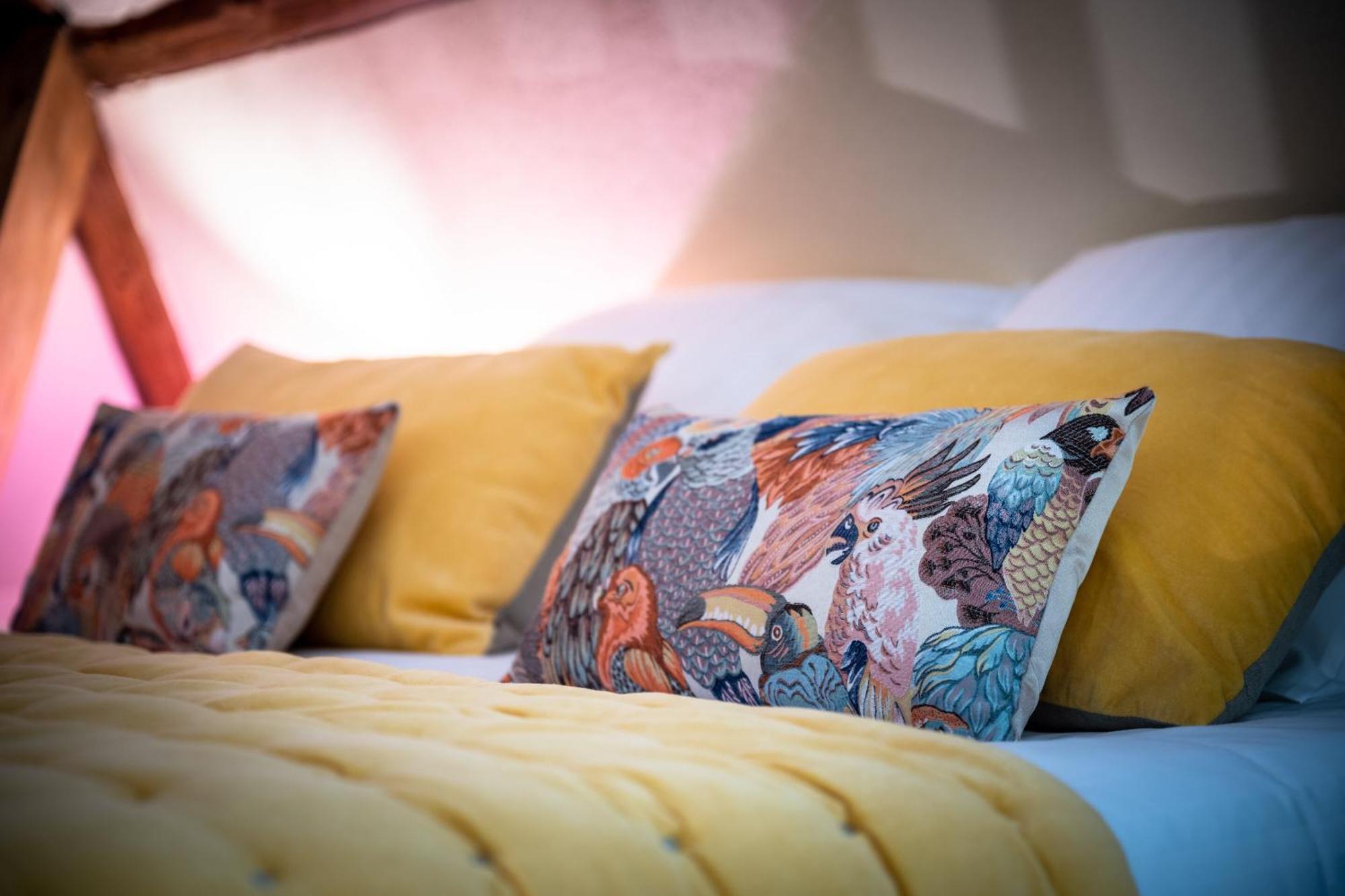 Bed and Breakfast La Dominotte Demigny Номер фото
