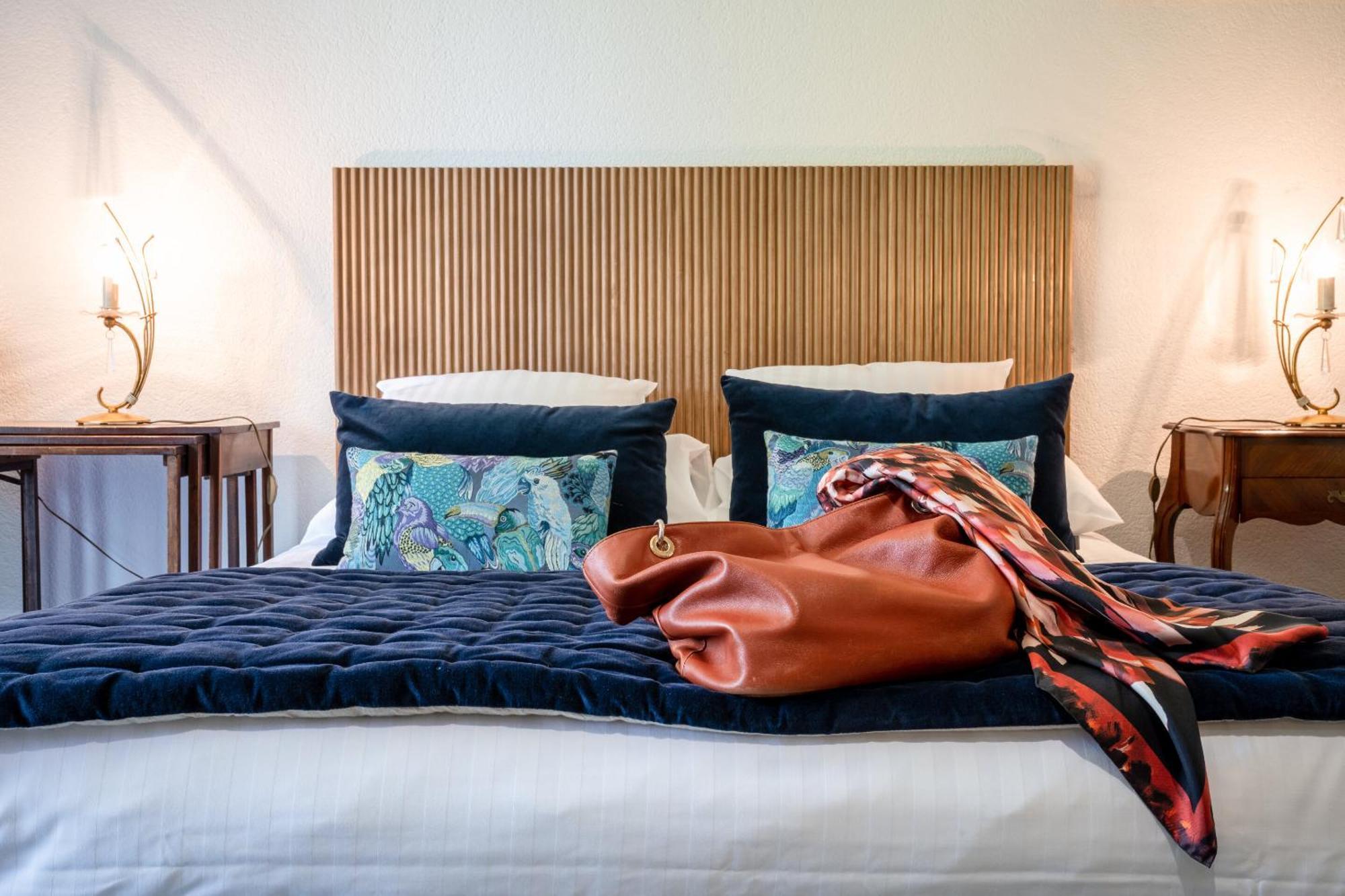 Bed and Breakfast La Dominotte Demigny Номер фото